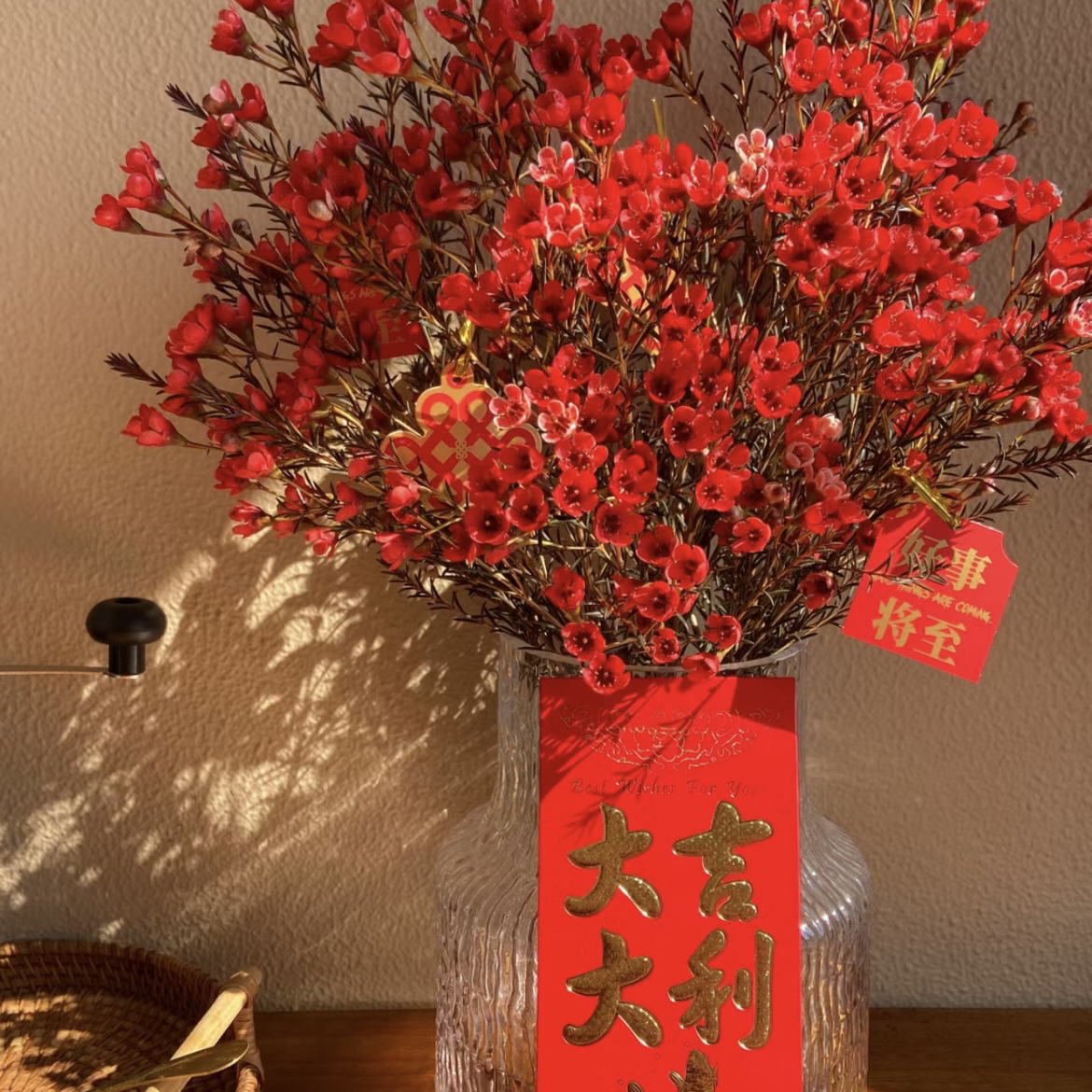 【新疆本地仓】年宵花澳洲腊梅鲜花花期长花香四溢喜庆多色高贵飘香