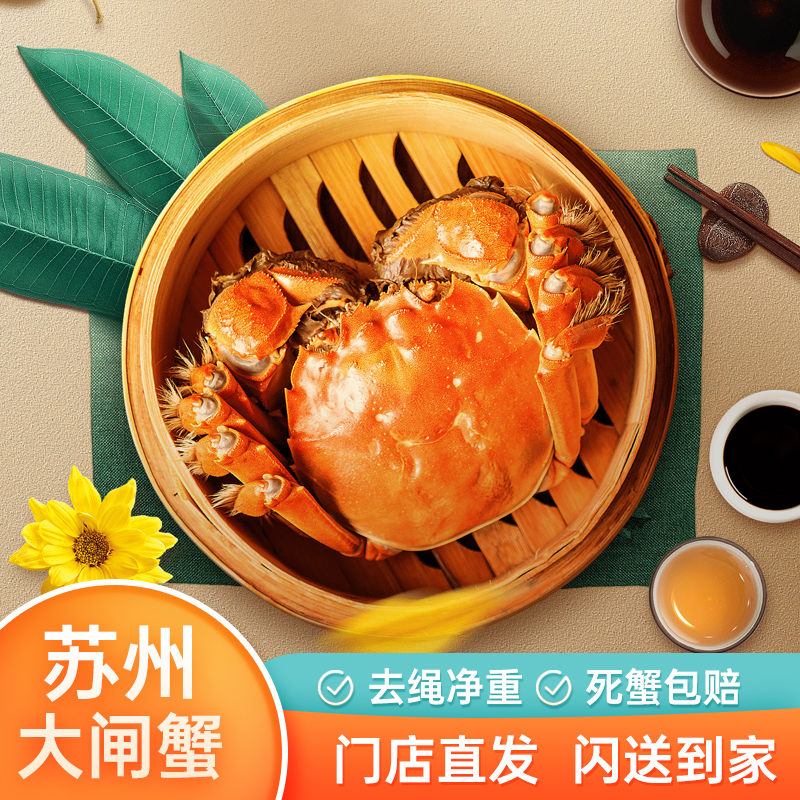 【活蟹】苏州精品大闸蟹现货活蟹（全母蟹3.0 两）6只装