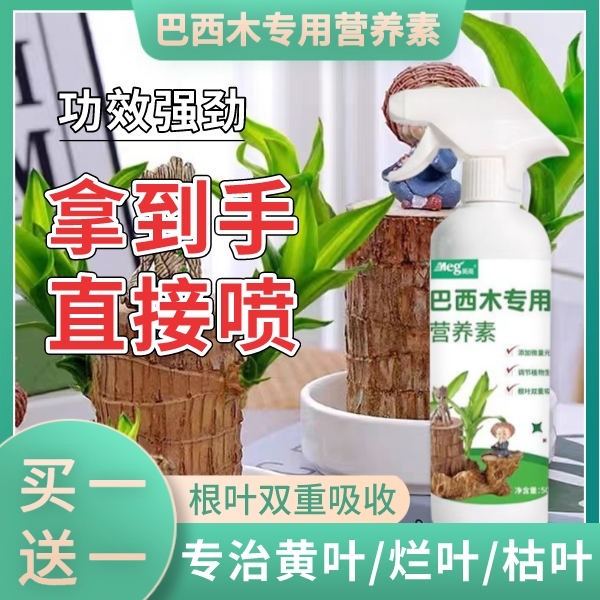 巴西木营养液专业型养花肥料幸运木水培水养植物肥料家用盆栽通用