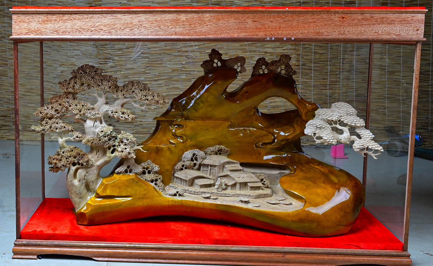 四川小叶桢楠金丝楠山里人家长106宽37高69