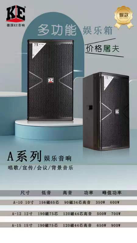 德国品牌中外合资KE12寸KTV音箱会议室音箱家用唱歌音箱