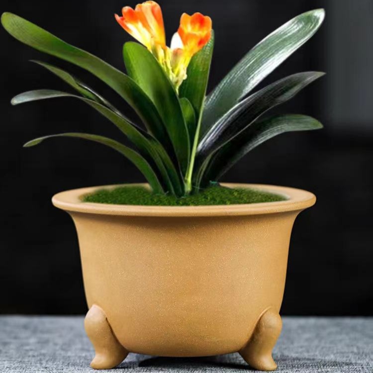 昕昕姐紫砂古典风圆形精致个性创意大口径君子兰多肉老桩绿植盆