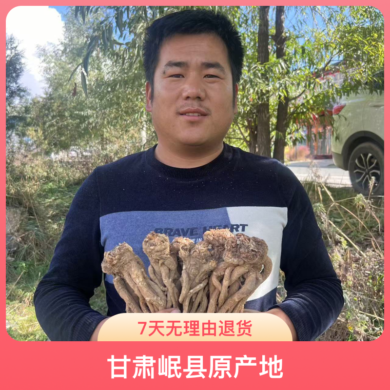 （当归原条）甘肃岷县原产地直当归大条 无硫无熏 搭配黄芪党参煲汤