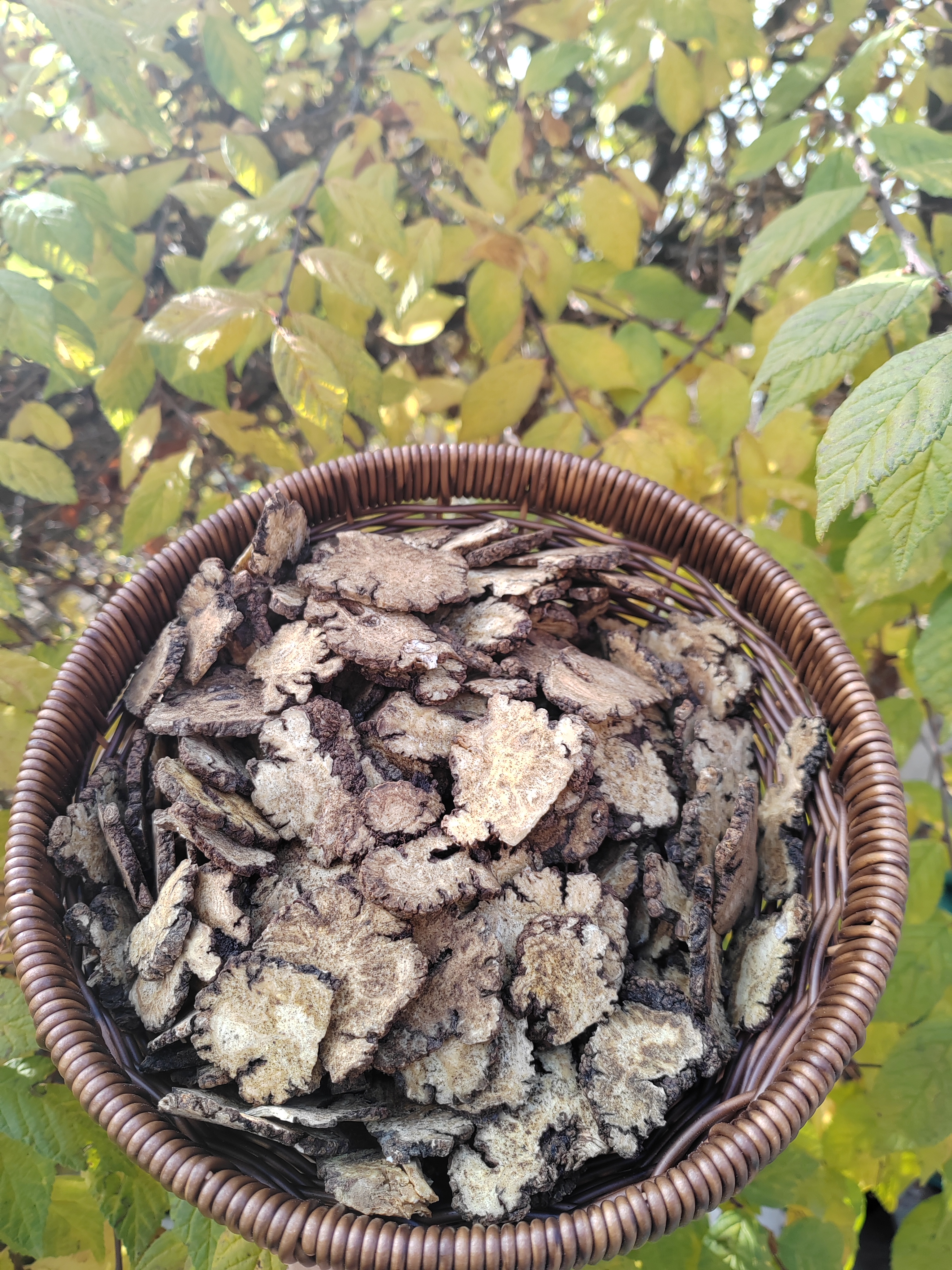 [川芎片]四川正宗川芎味浓无硫熏