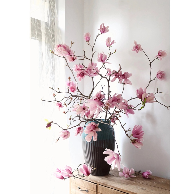 玉兰花水培植物鲜切枝水养花卉带花苞室内好养绿植花卉鲜花花束