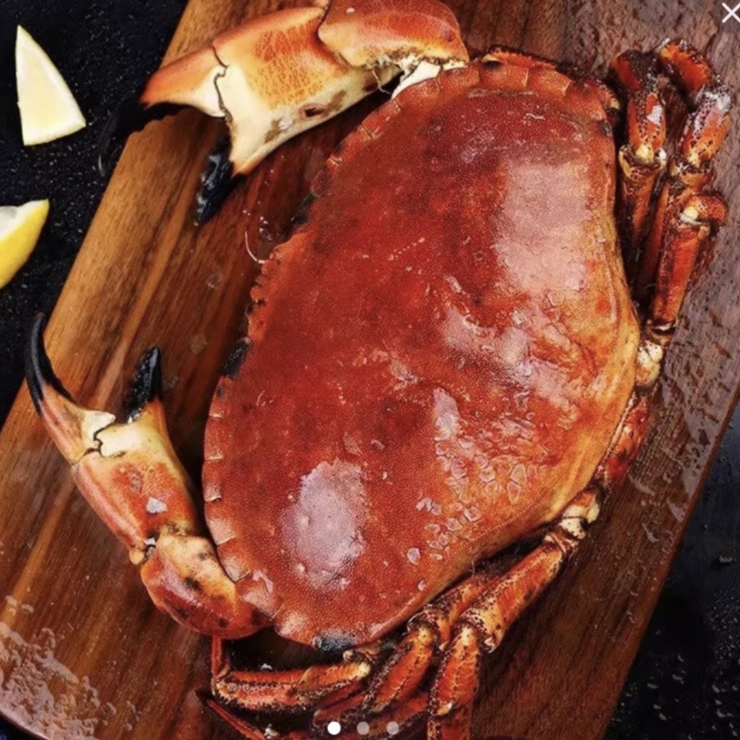 鲜活面包蟹 单只1.6-1.8斤左右 顺丰发货 【不包活介意勿拍】