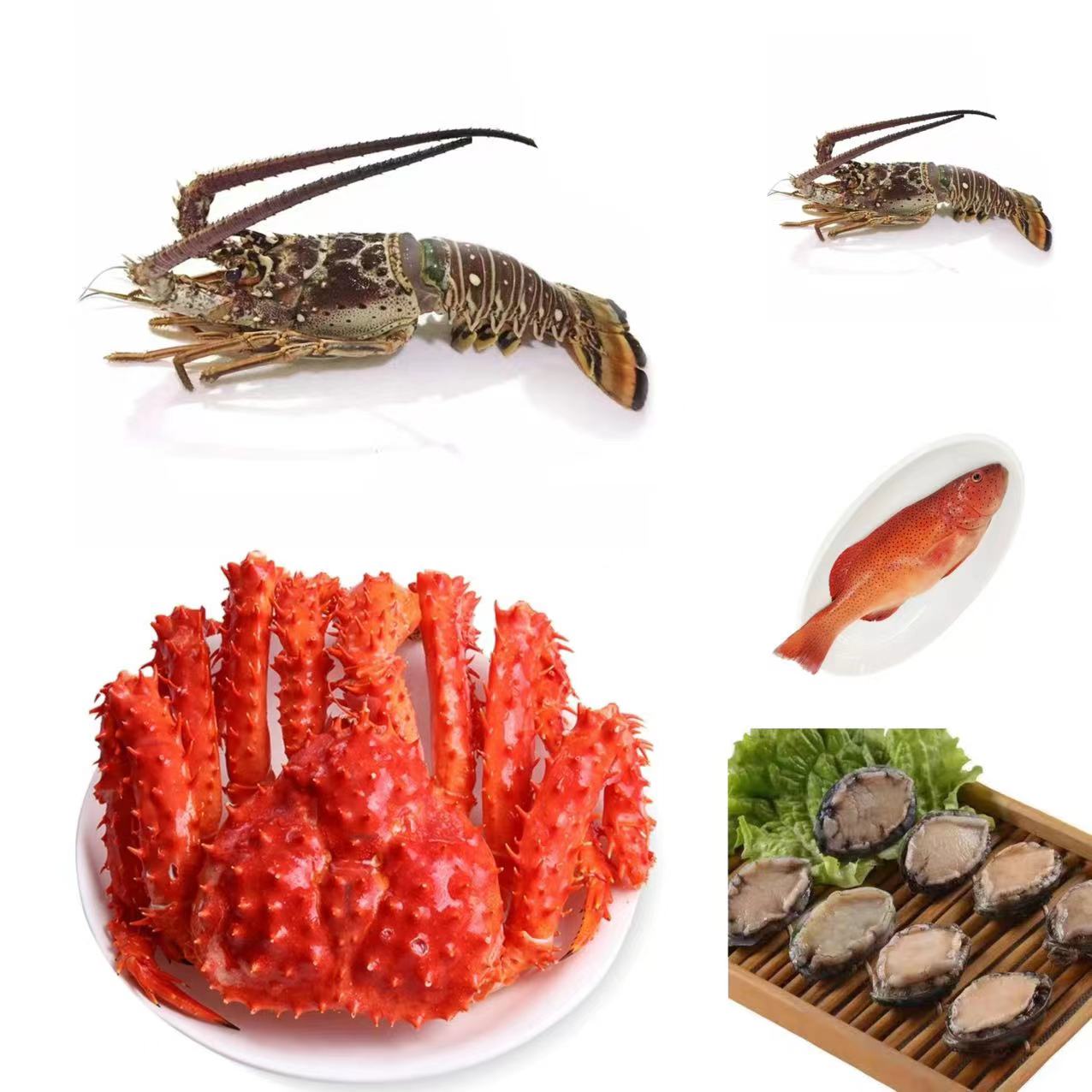 帝王蟹 古巴龙 东星斑 鲍鱼组合套餐