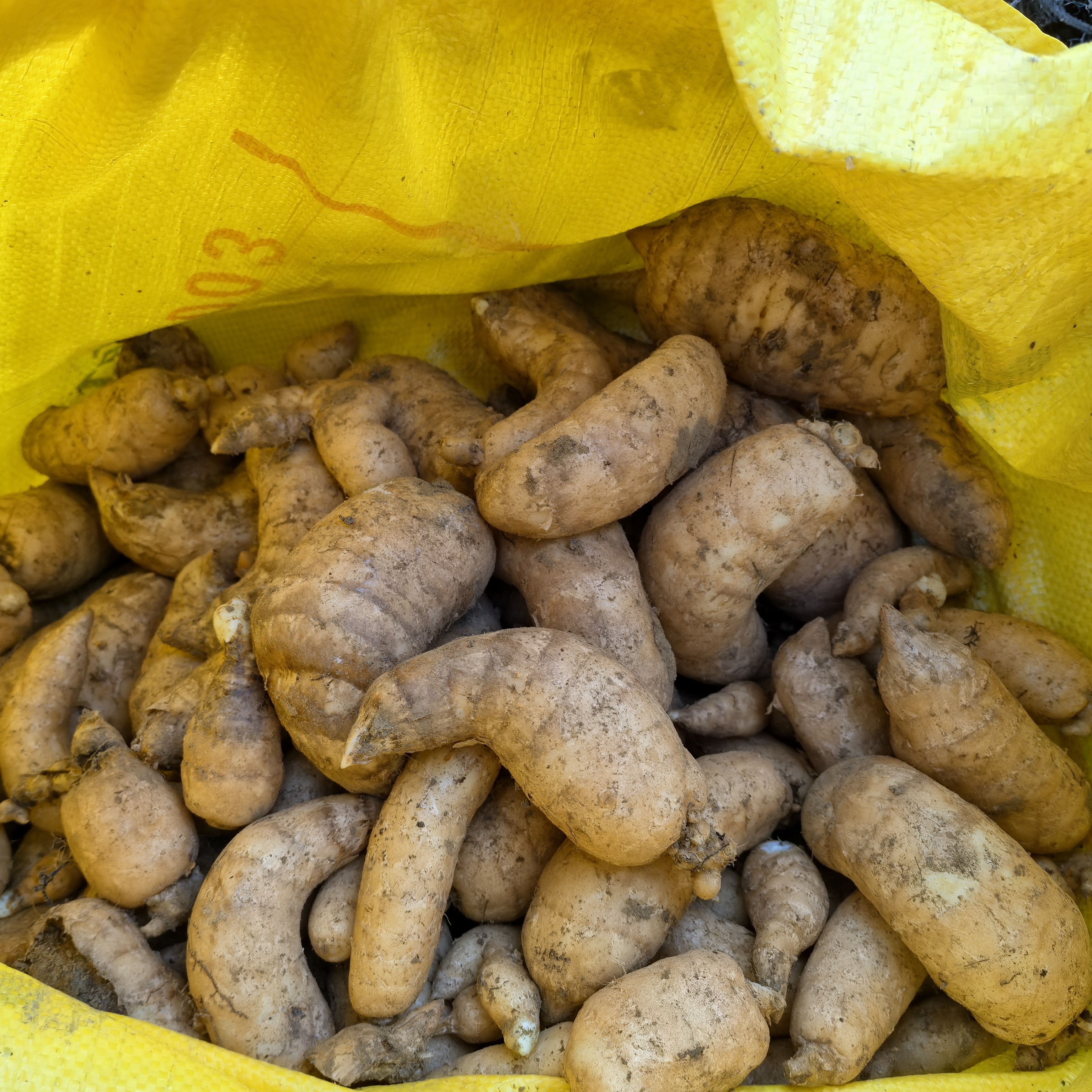 竹峪镇大茶园村乌天麻