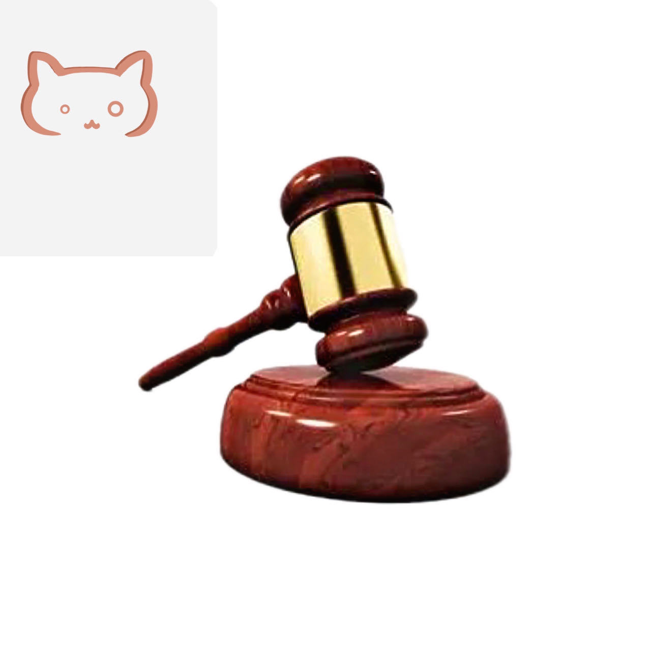 开箱猫 手办（直播专用）