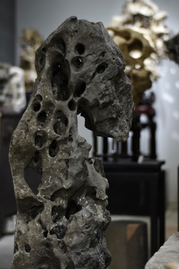 太湖石 瘦骨清相 原石 园林石 厅堂石 书房玄关室内 精品家居摆件