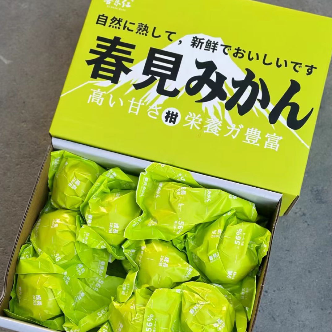 【小豪哥甄选】四川春见耙耙柑净重约7斤礼盒装