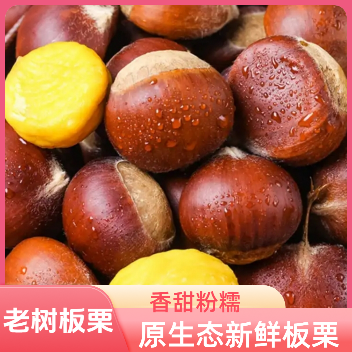 新鲜老树板栗粉糯香甜原生态生板栗糖炒用皮薄野栗子饱满易去壳
