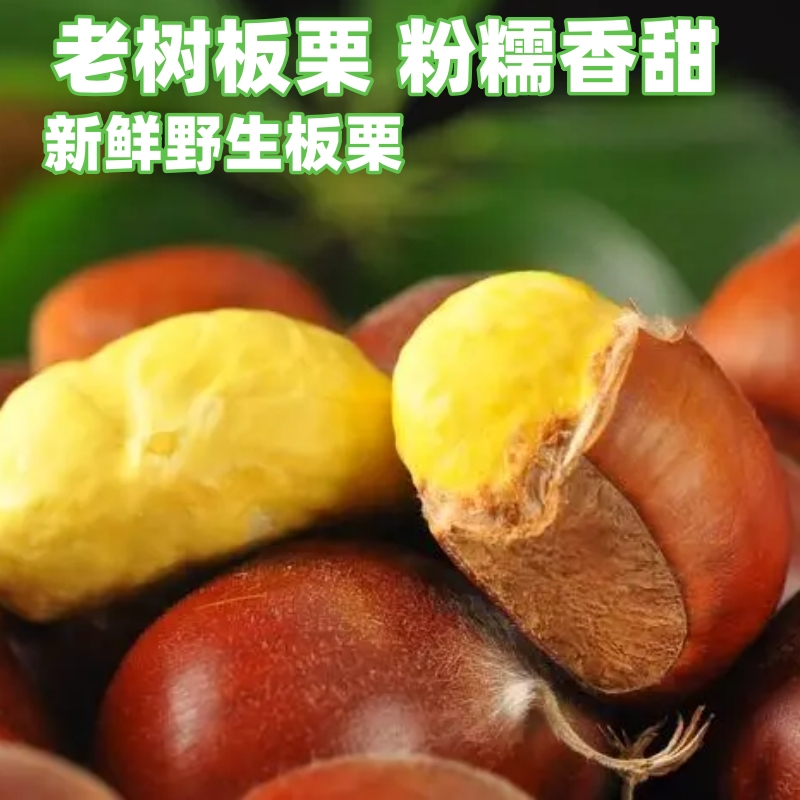新鲜原生态板栗子香甜皮薄生板栗云南糖炒用野栗子饱满易去壳