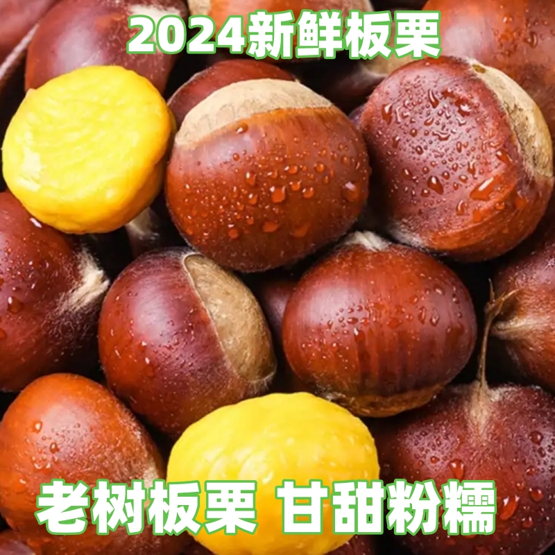 新鲜老树板栗粉糯香甜生板栗原生态糖炒用皮薄野栗子饱满易去壳