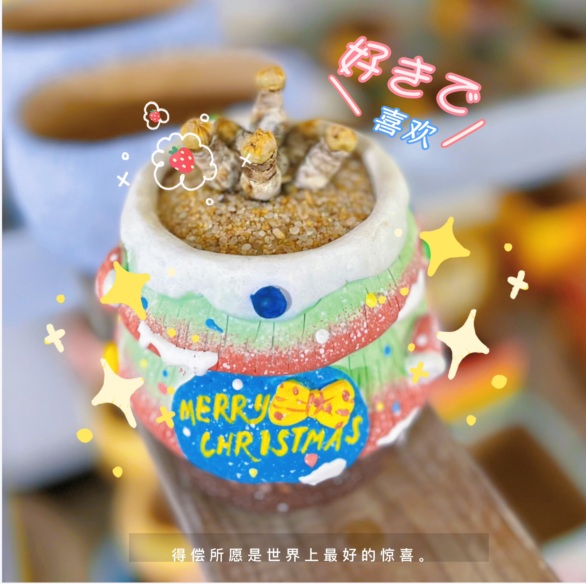 木栖陶瓷多肉花盆