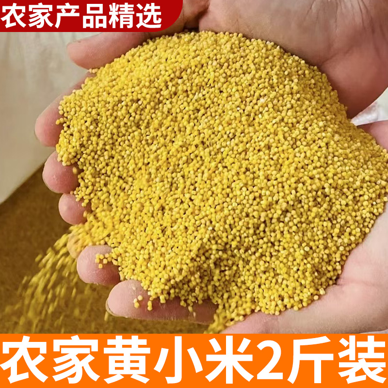 黄小米 2斤黄糯米农家自产五谷杂粮杂粮  农村杂粮新货