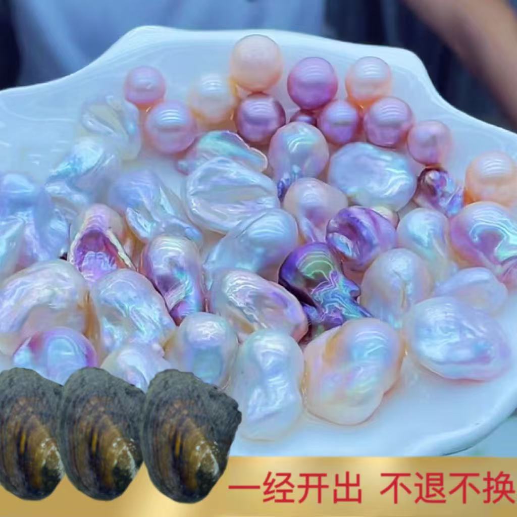 #高品大巴蚌（保1颗大巴）可定制打孔