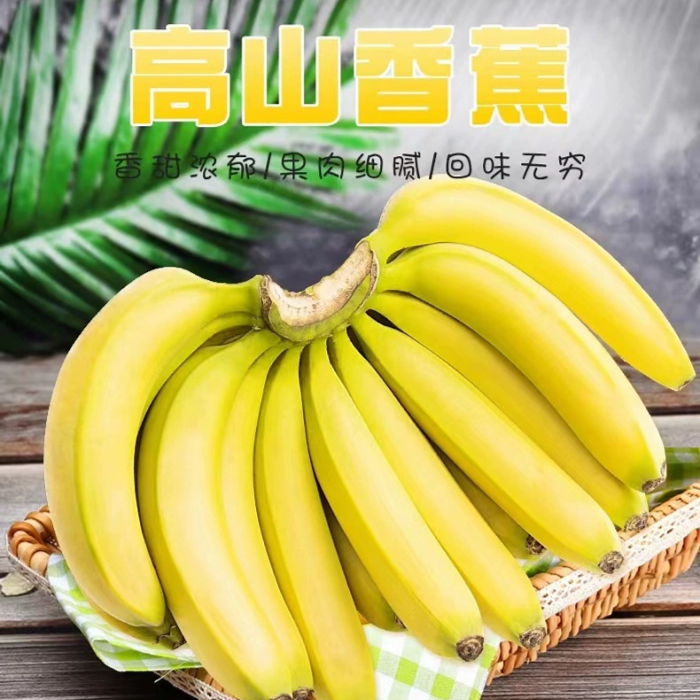 广西香蕉香甜软糯5-9斤自然成熟水果新鲜应季自然成熟孕妇水果