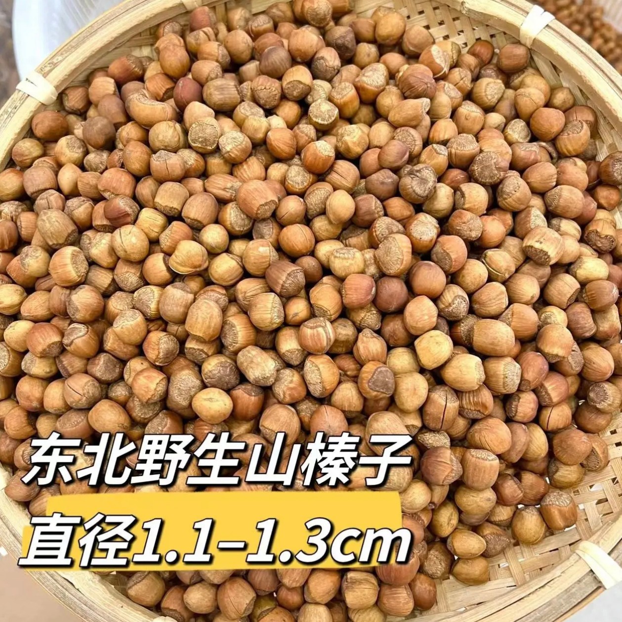 野山榛子《小颗粒》嫌小慎拍水漏榛子