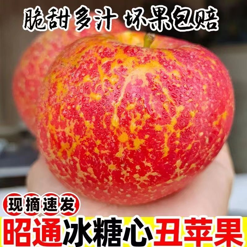 云南昭通丑苹果高原冰糖心红富士苹果水果鲜野生整箱脆甜包邮营养