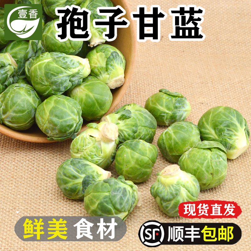 【小扬哥甄选】新鲜孢子甘蓝5斤 抱子甘蓝小卷心菜小包菜西餐轻食