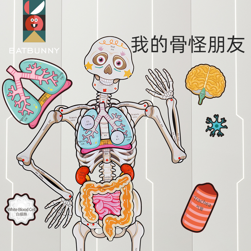 Batbunny/蝙蝠兔我的骨怪朋友认知diy玩具可拼锻炼人体认知拼图