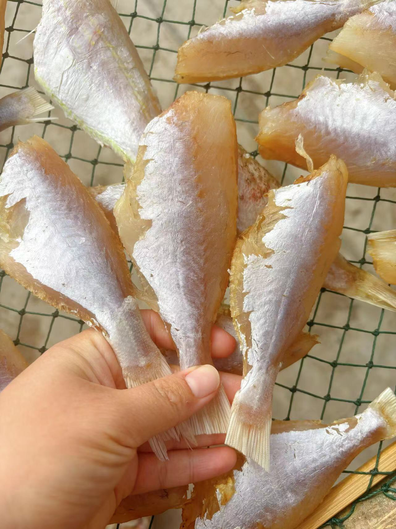 福建特产渔民晾晒红目鲢干剥皮鱼干大眼鱼干海鲜干货