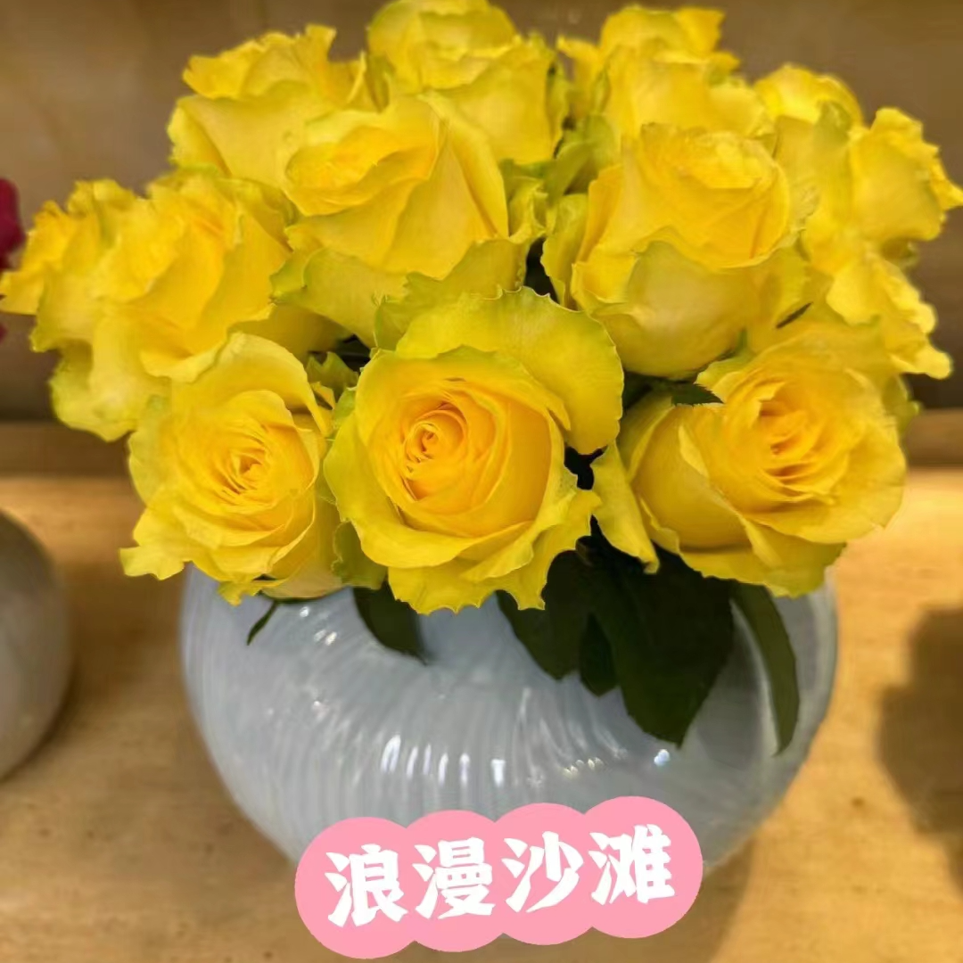 浪漫沙滩玫瑰：收到花第一时间醒花，不会找客服【教学视频】