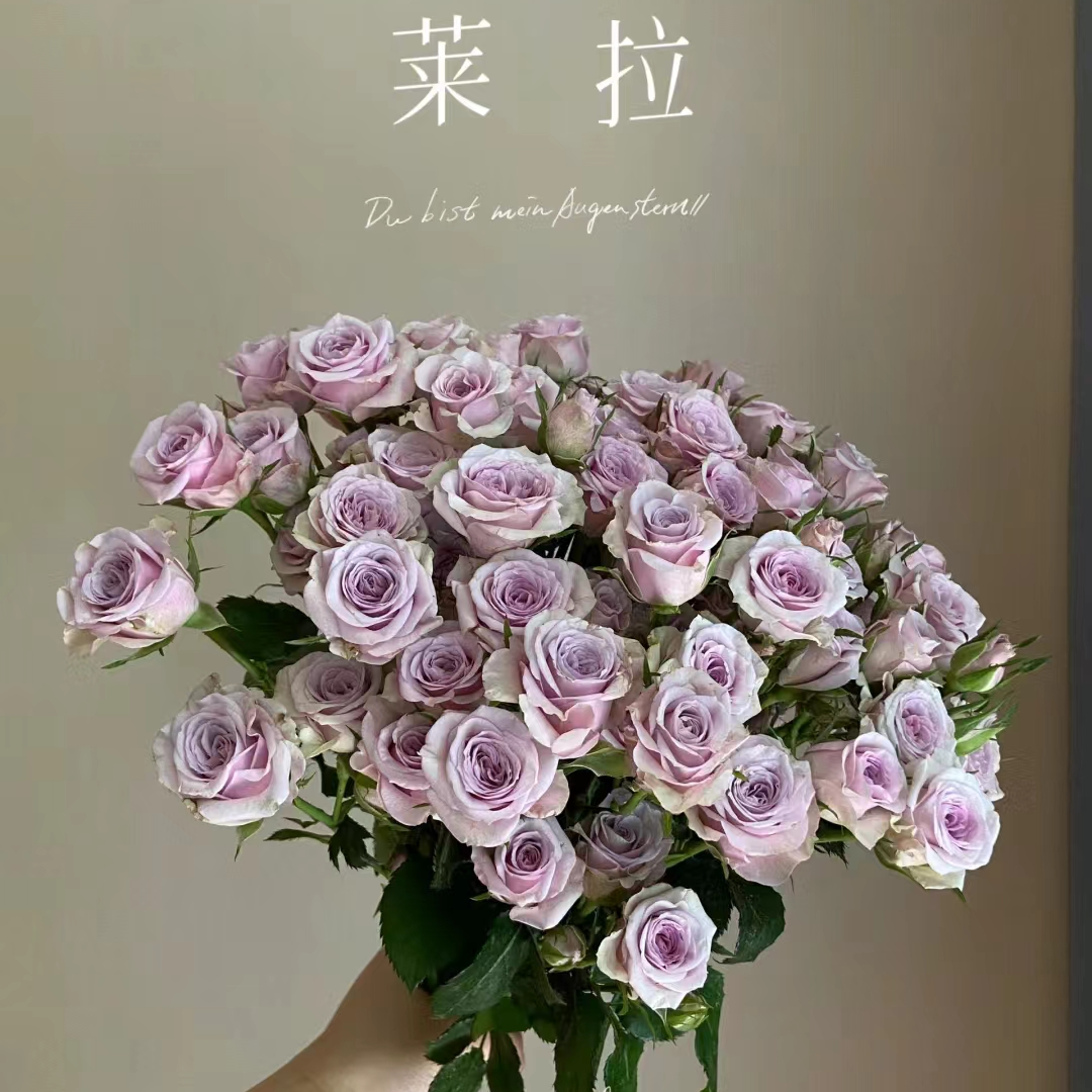 莱拉多头玫瑰：收到花第一时间醒花，不会找客服【教学视频】