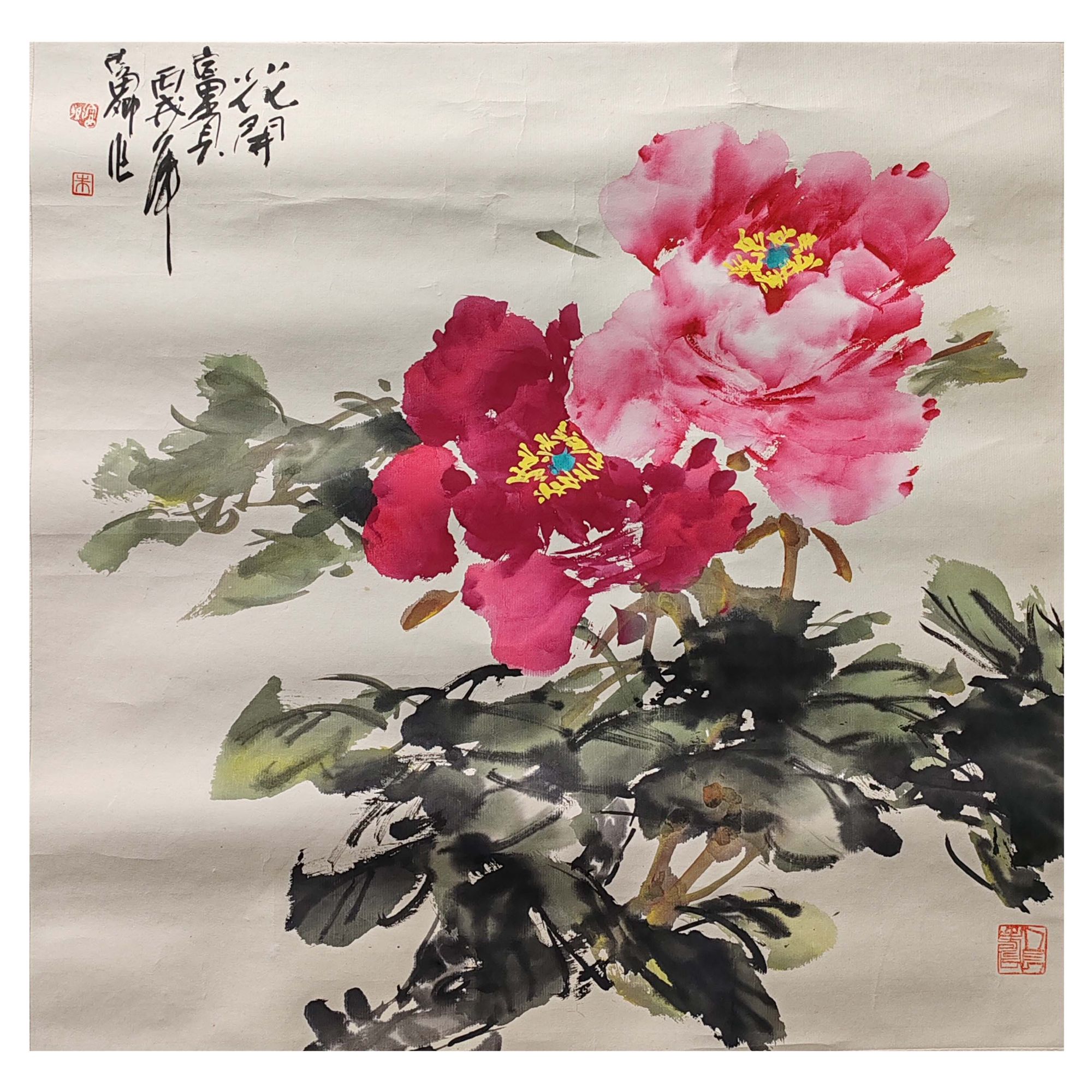 朱富卿《牡丹》48cm*49cm 05