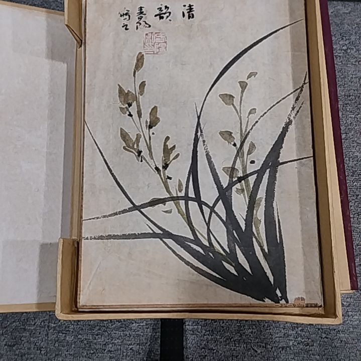 【闪购商品】绘画小**选霍春阳