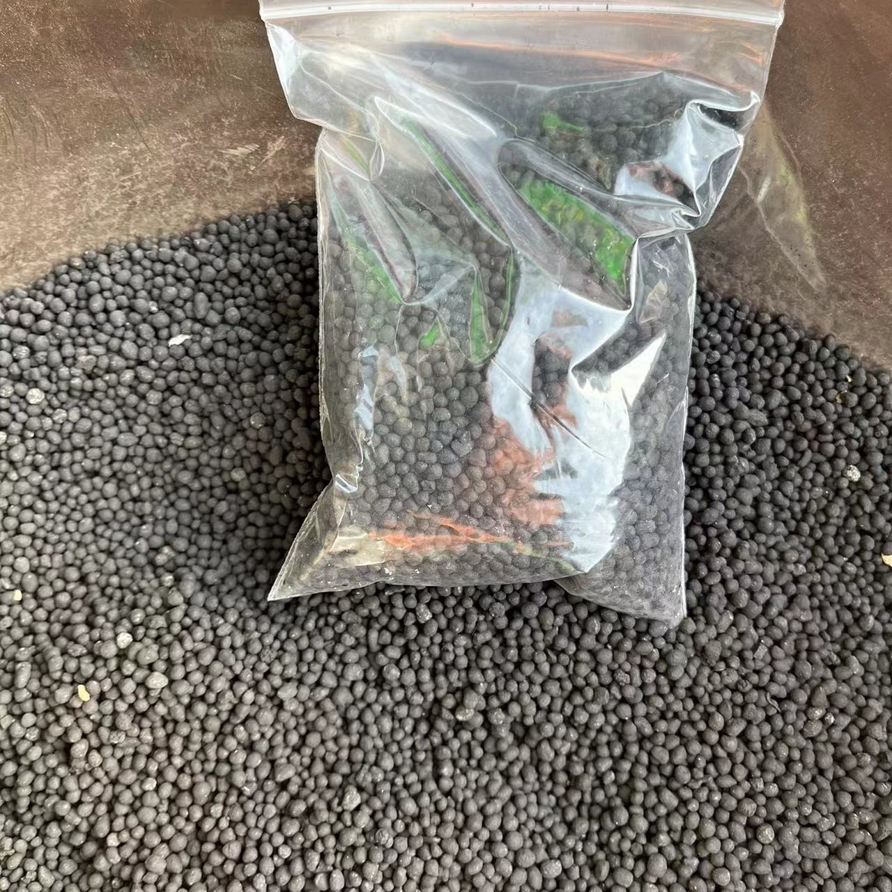 瑞妈多肉植物灯牌福利