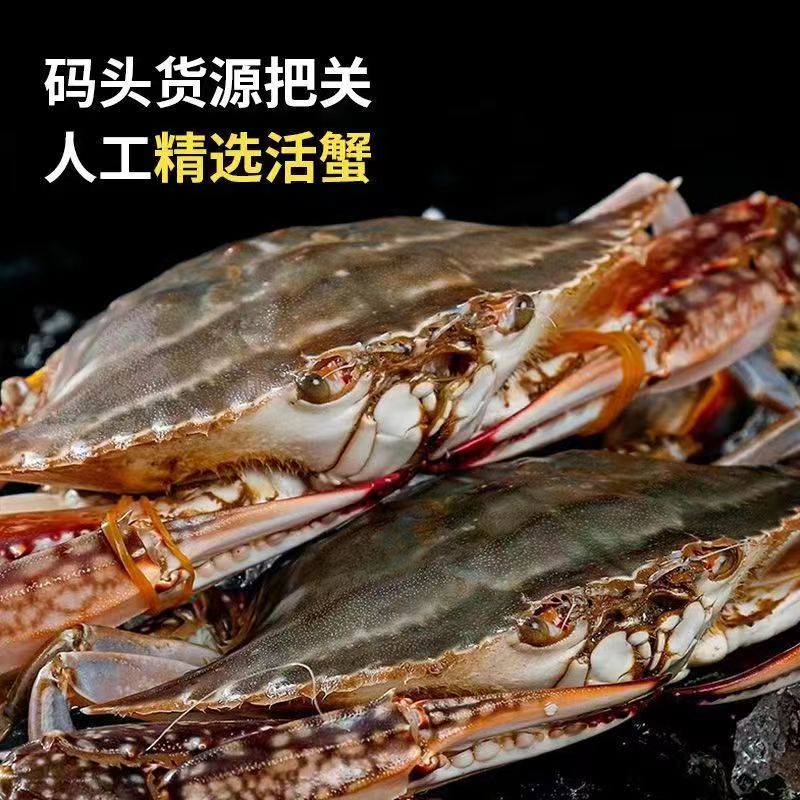 【保鲜不保活】东港 特大5-6两 3斤 5-6只