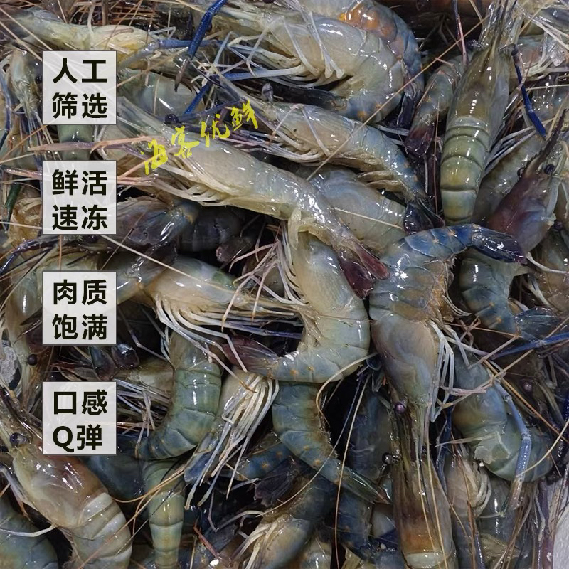 海鲜小妹家 罗氏虾 2斤