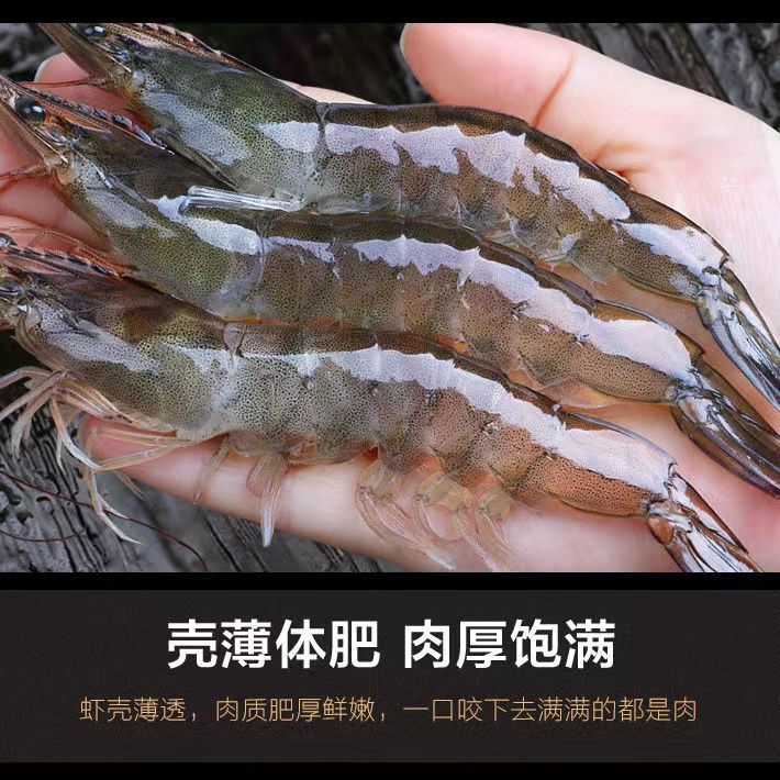 【海鲜小妹】 断氧大虾   3斤