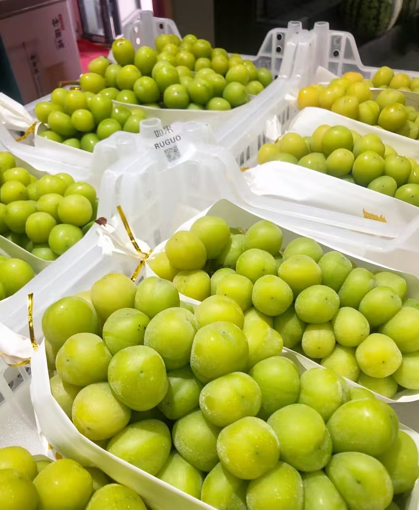 阳光玫瑰1串（2-2.5斤）