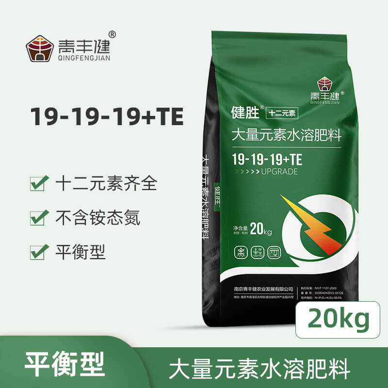 健胜 19-19-19+TE 硝酸钾十二元素水溶肥料 平衡型 20公斤/袋