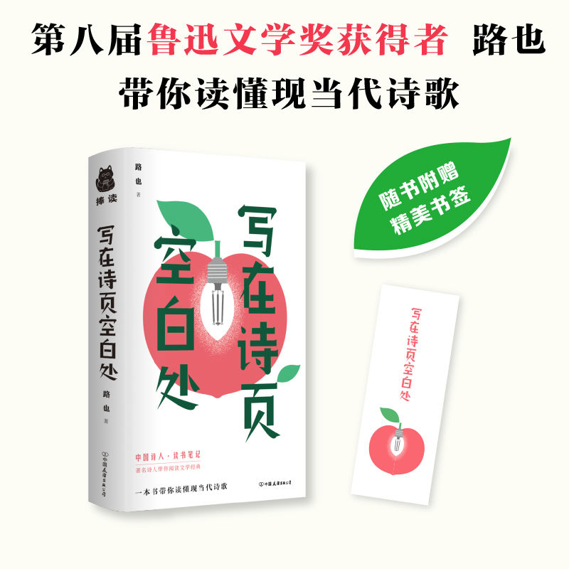 写在诗页空白处 带你阅读文学经典探寻现当代诗人作品书籍