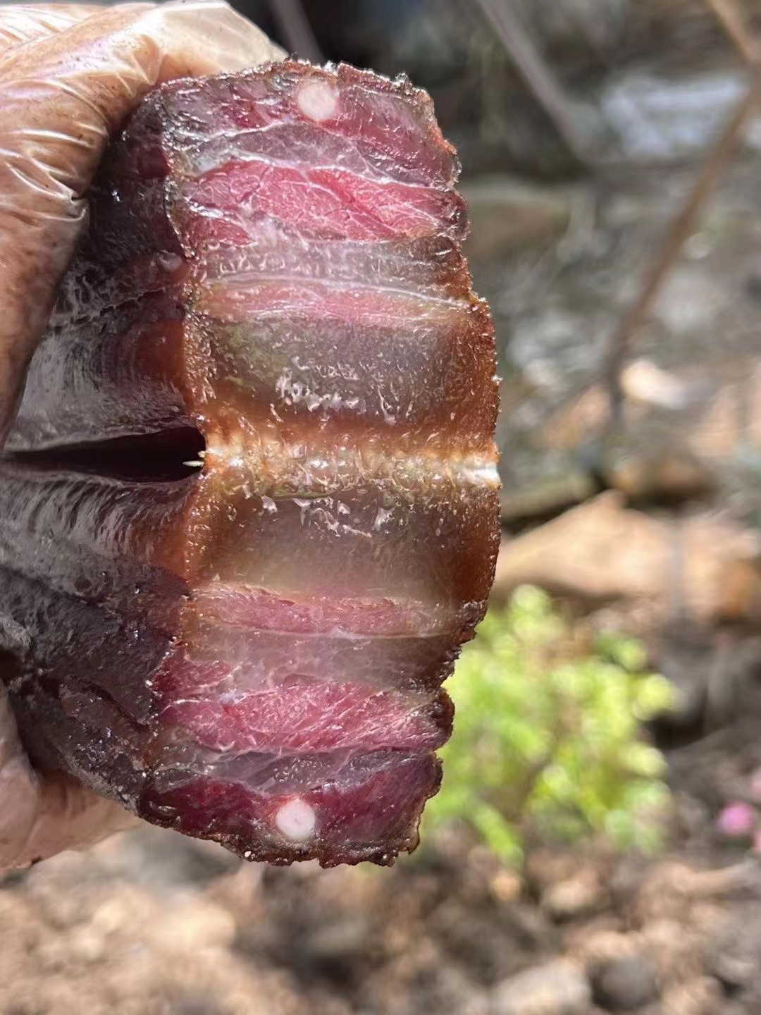 【蓉蓉珍选】【腊肉】一斤装湖南雪峰山柴火熏制土猪腊肉