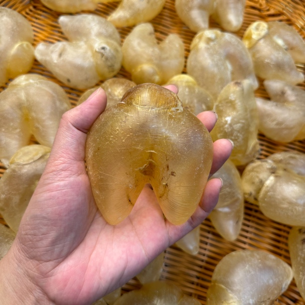 【龙记堂】 精选鸡泡胶~鱼胶花胶备孕炖汤产后滋补海味干货炖煮食用