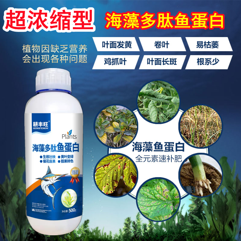 海藻鱼蛋白叶面肥水溶肥喷施微量元素黄叶死苗一喷绿海藻肽鱼蛋白