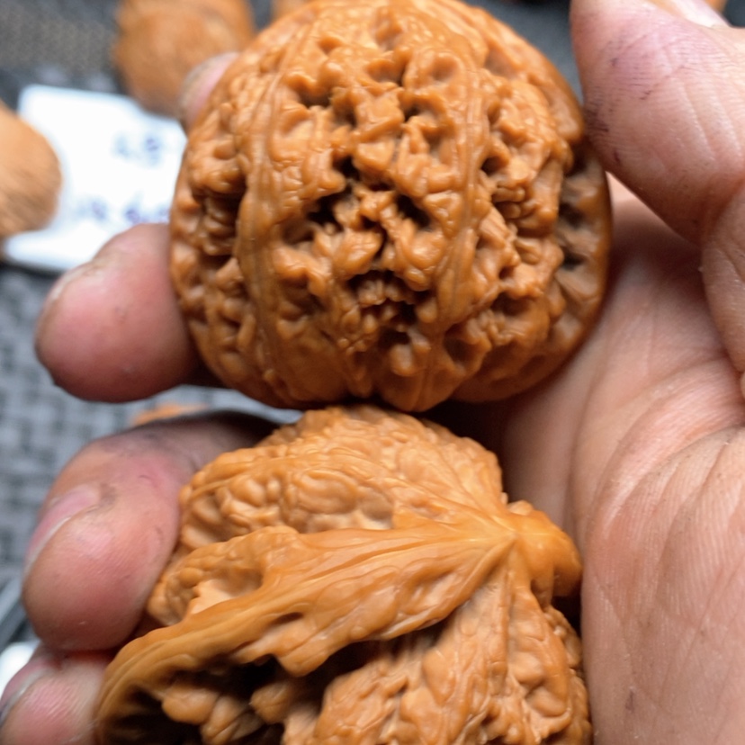 【闪购商品】文玩核桃把件家****子