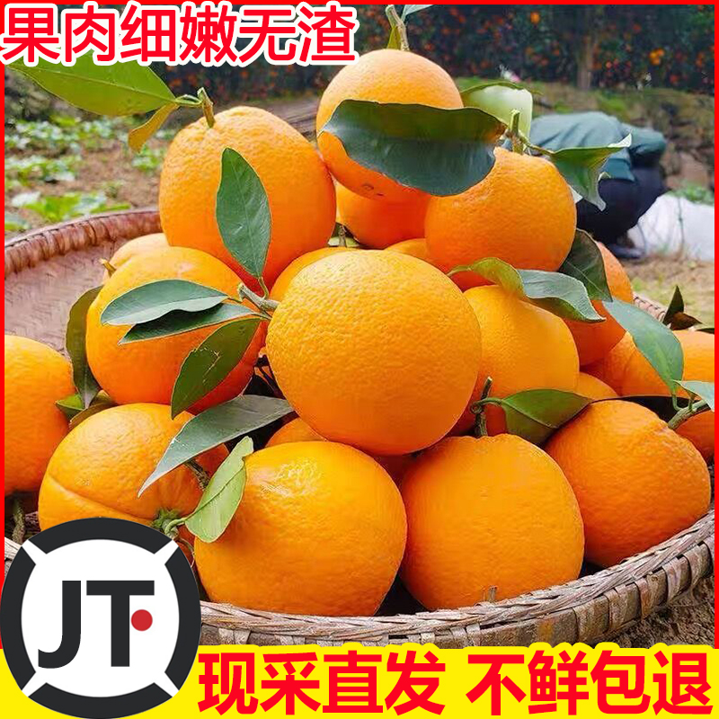 福建正宗脐橙产地直发新鲜水果应季薄皮橙子不酸甜非果冻橙赣南橙