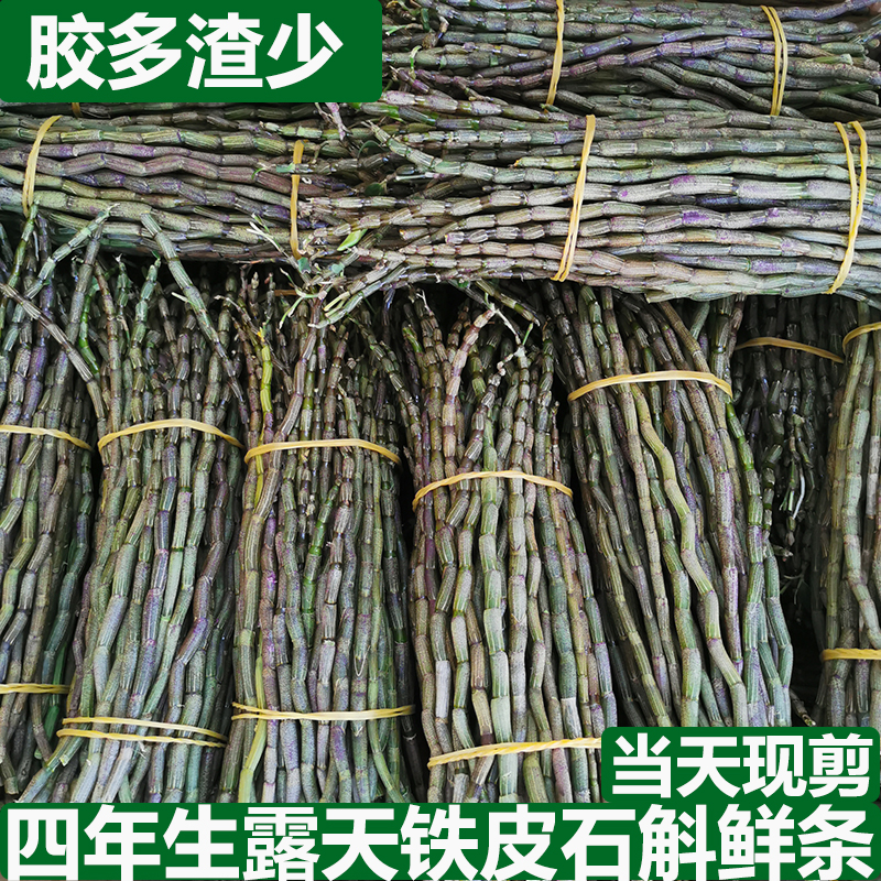 双十二好物云南石斛鲜条500克250克鲜石斛鲜条石斛花铁皮干条石斛