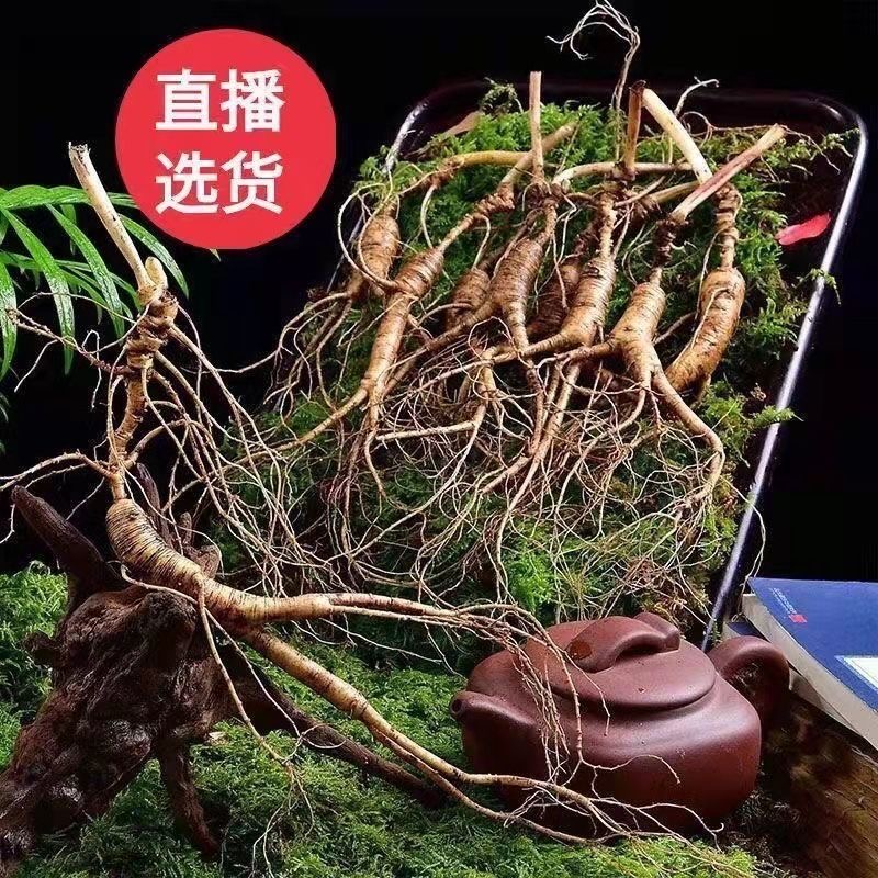 长白山林下参改价链接001