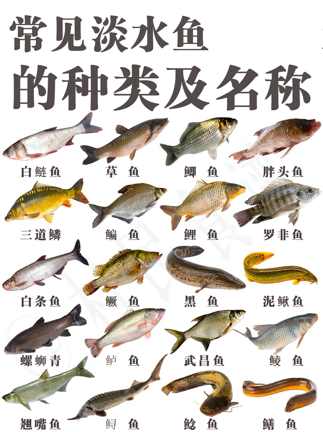 2号改价链接实际重量与价格以直播间为准