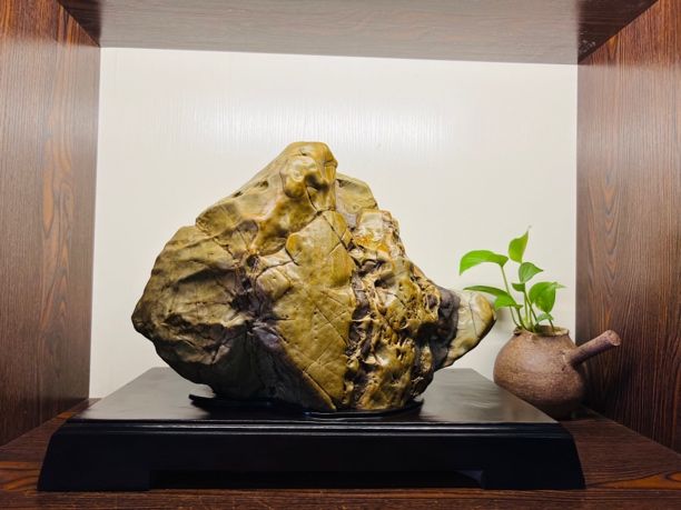 寿比南山（龟山）福建九龙璧 带座