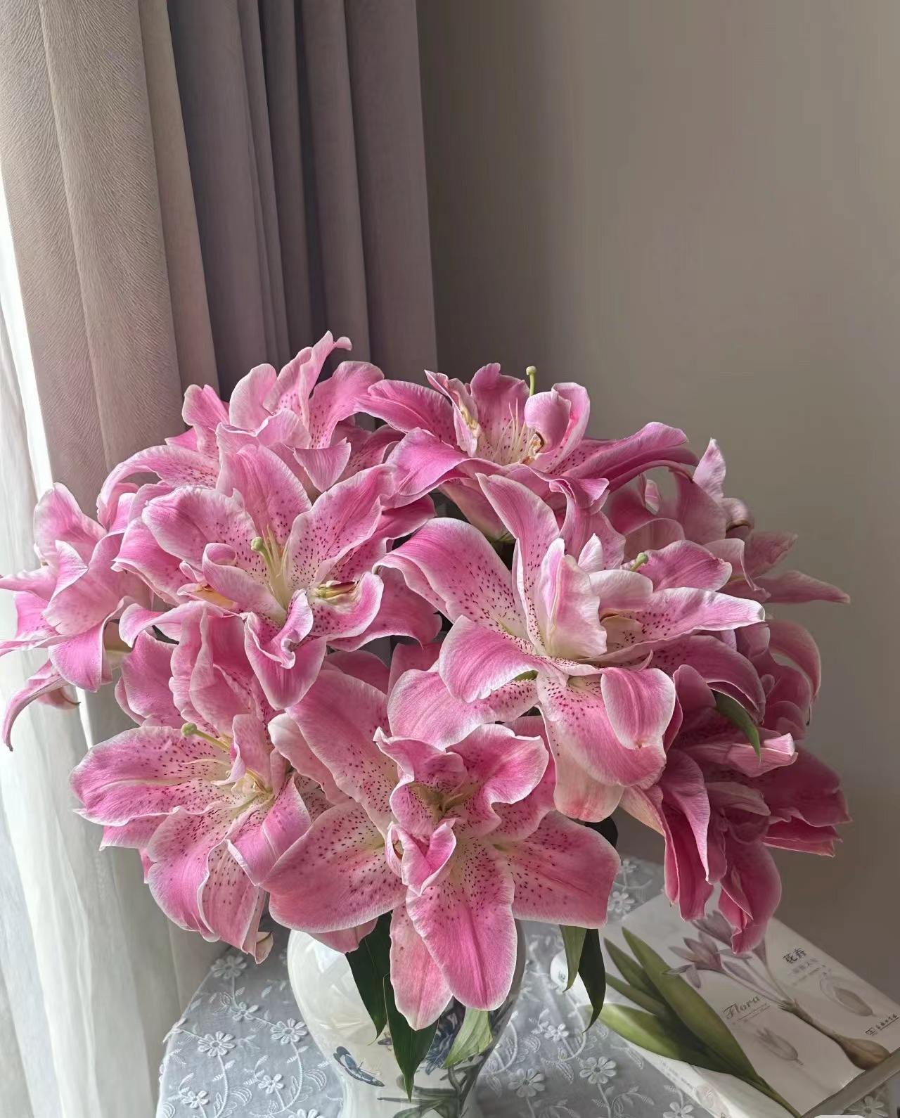 【茶香味】粉拉菲重瓣百合颜值干净温柔
