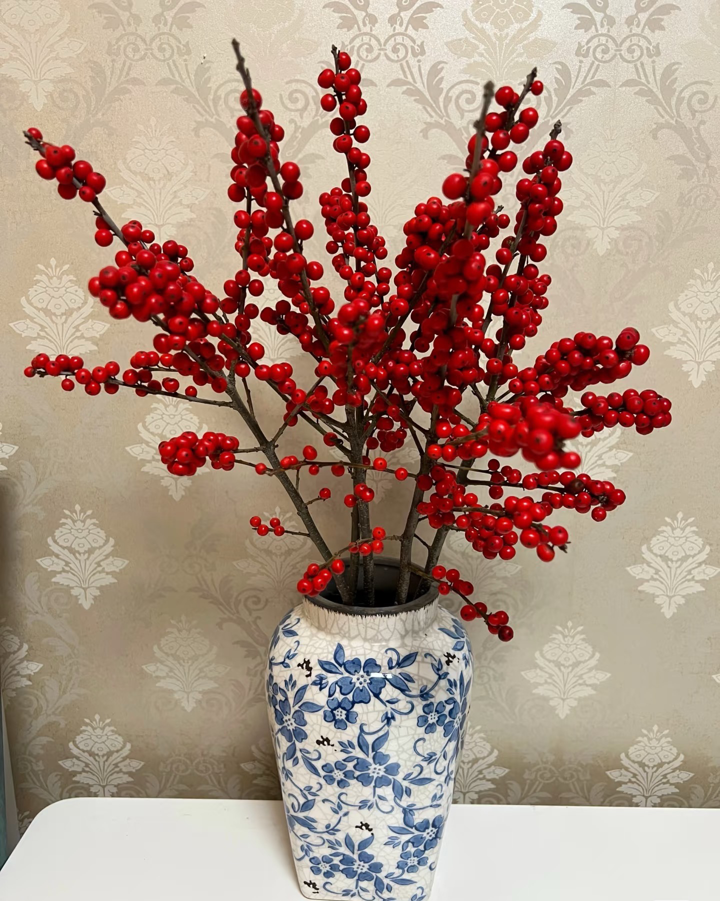 【元旦迎新年宵纳福】北美冬青（轻微掉果黑果干果属于正常介意慎拍）