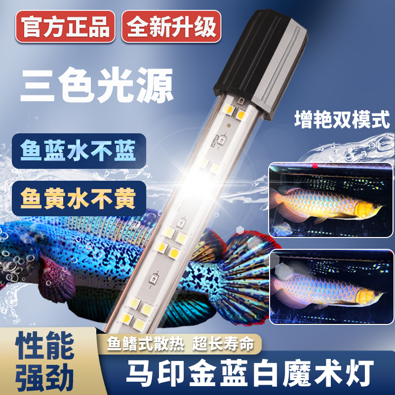 马印神灯雷龙古典金龙专用灯金蓝白灯水族专用灯鱼缸灯防水魔术灯